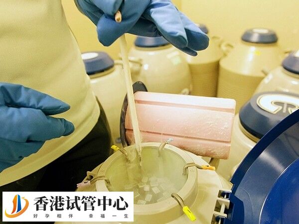 内陆地区对冻卵要求严格