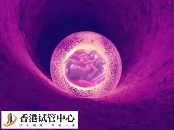 试管移植不成功可能与子宫因素有关