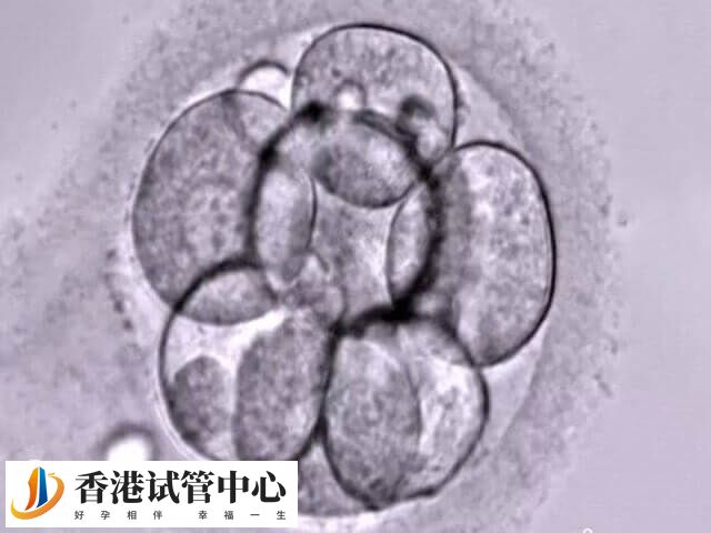 取7个卵配成6个说明什么