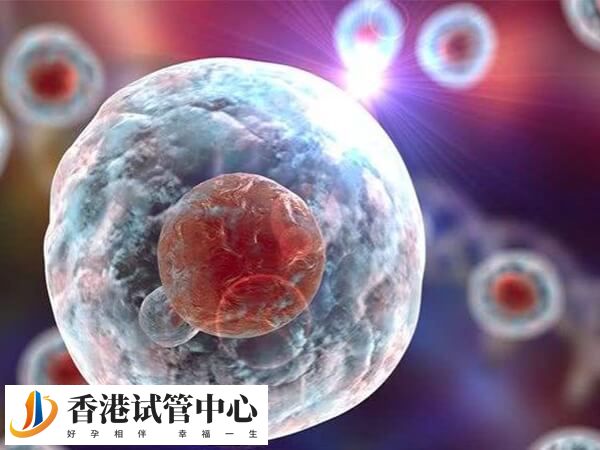 一级八细胞胚胎属于质量较好的理想胚胎