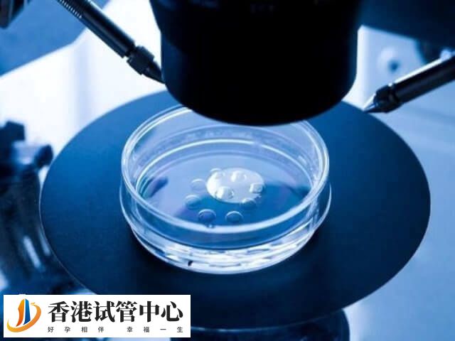 香港三代试管囊胚检测要多久
