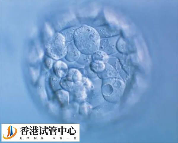囊胚异常移植之后可能会失败