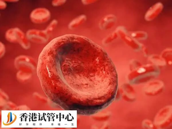 醛固酮过多是导致心肌肥厚的重要危险因素