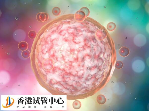 试管成功率不能单纯由取卵数量决定