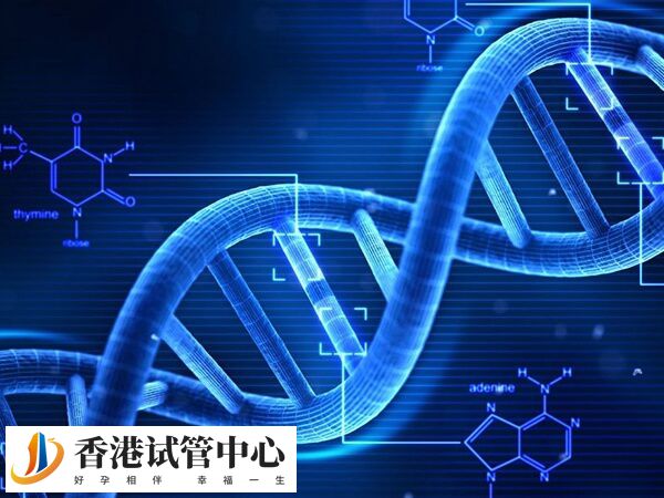 通过PGD/PGS技术对胚胎进行基因诊断