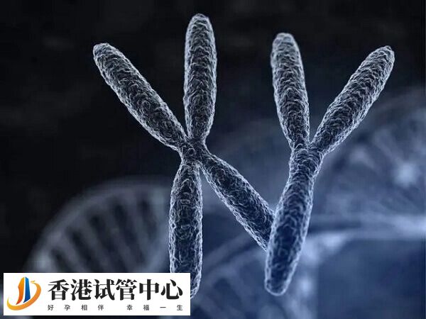 PGS可以准确检测出胚胎性别