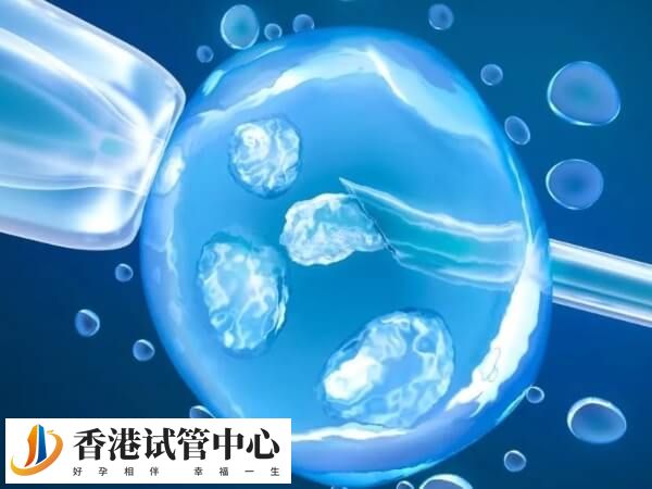 胚胎移植需要提前解冻才行