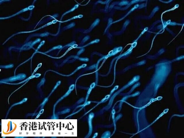 多精入卵是不是偶发性